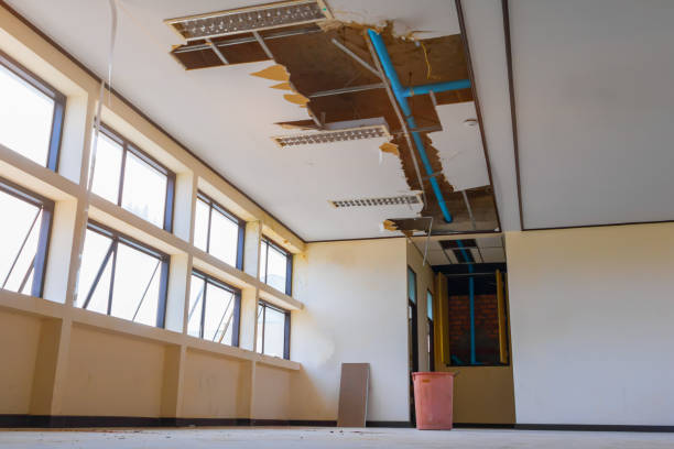 Best Fire Damage Restoration  in Granite Shoals, TX