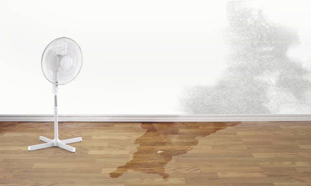 Fire Damage Restoration in Granite Shoals, TX