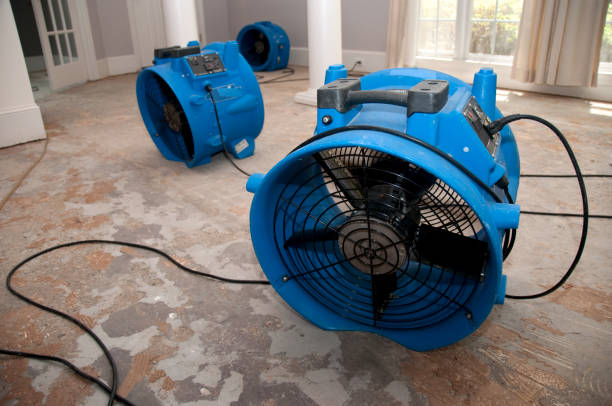 Best Emergency water extraction  in Granite Shoals, TX