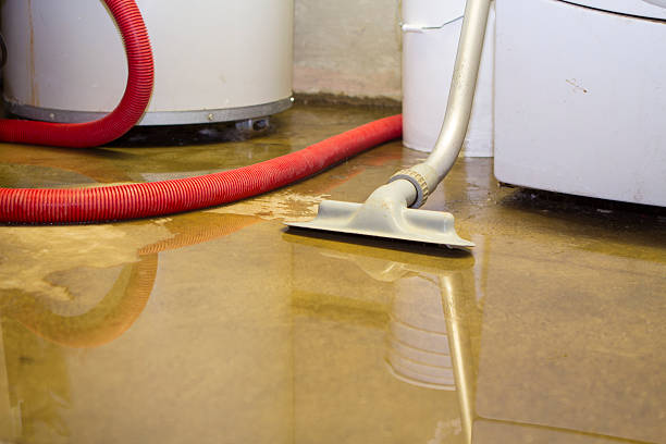 Best Water damage cleanup near me  in Granite Shoals, TX