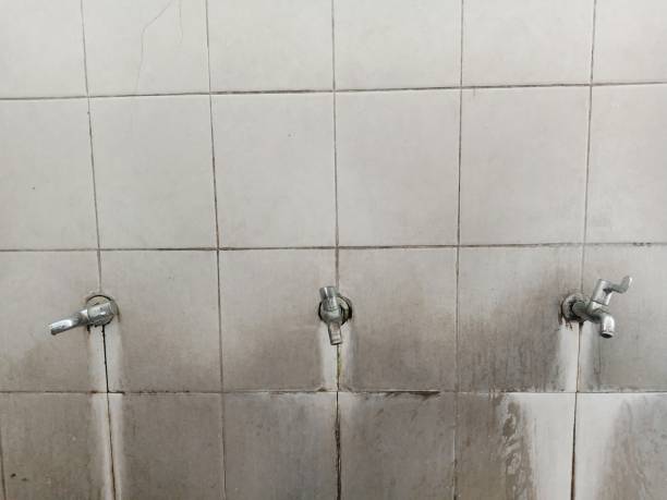 Best Flooded house restoration  in Granite Shoals, TX