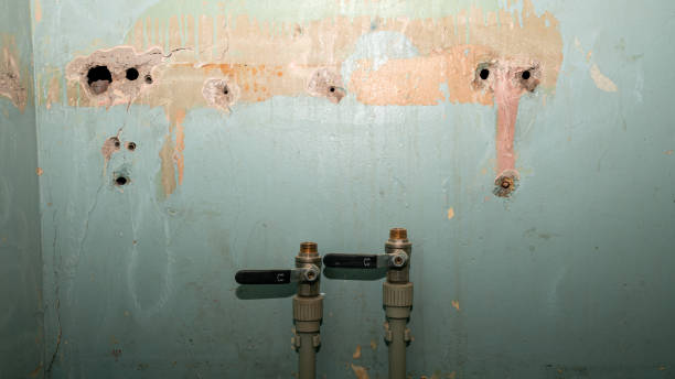 Best Basement water damage restoration  in Granite Shoals, TX