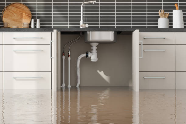 Best Mold removal after water damage  in Granite Shoals, TX