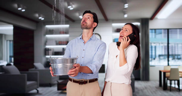 Best Local water damage restoration  in Granite Shoals, TX